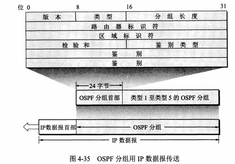 OSPF报文结构
